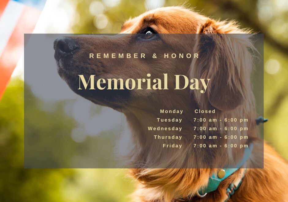 Memorial Day Post 2025 Memorial Day Post 2025